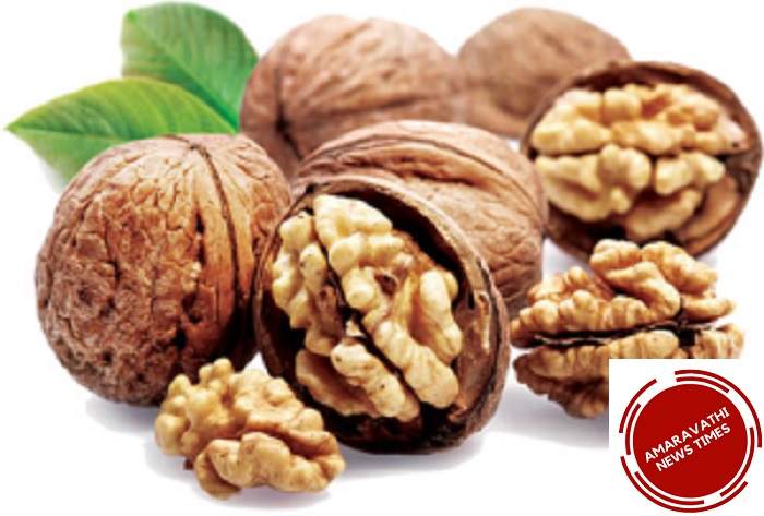 Uses and Benefits of Walnuts and Walnuts