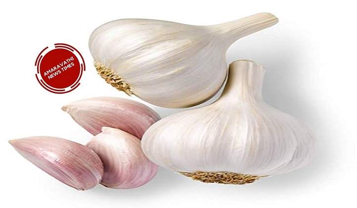 Garlic Benefits: Amazing Benefits of Eating Garlic in Winter
