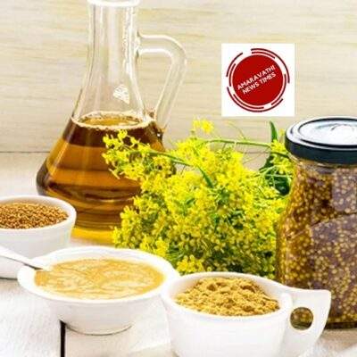 Mustard Oil Uses…Do You Know the Benefits of Mustard Oil?