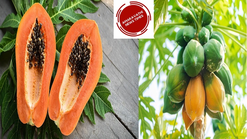 Papaya can put check to those Two Deadly Diseases