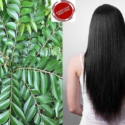 Curry Leaves For Hair: Do this with curry leaves, You will have Shiny Healthy Black Hair