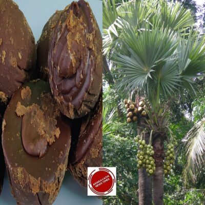 Amazing Health Benefits of Palm Jaggery