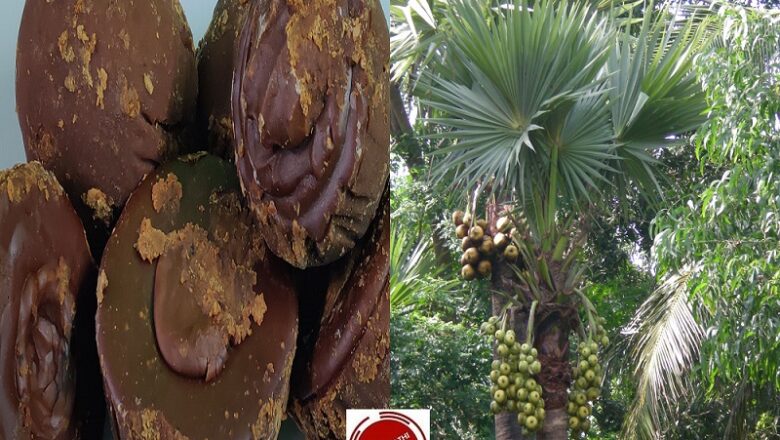 Amazing Health Benefits of Palm Jaggery